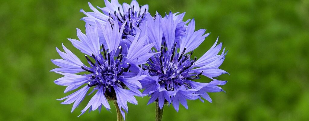 Trin for trin: Sådan tilføjer du charms til dine yndlingssmykker